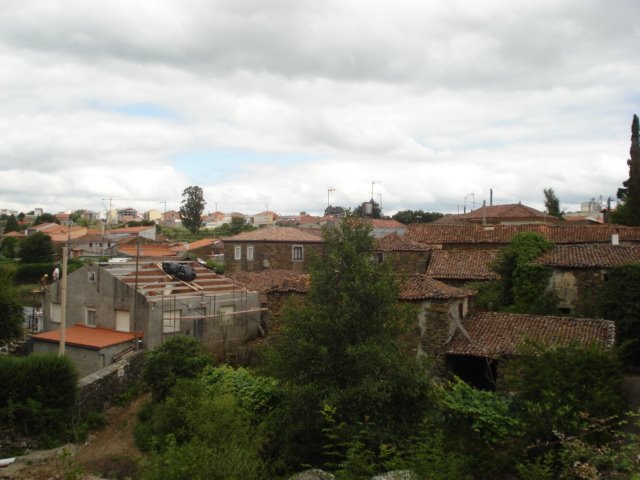 [DSC01894.JPG]
