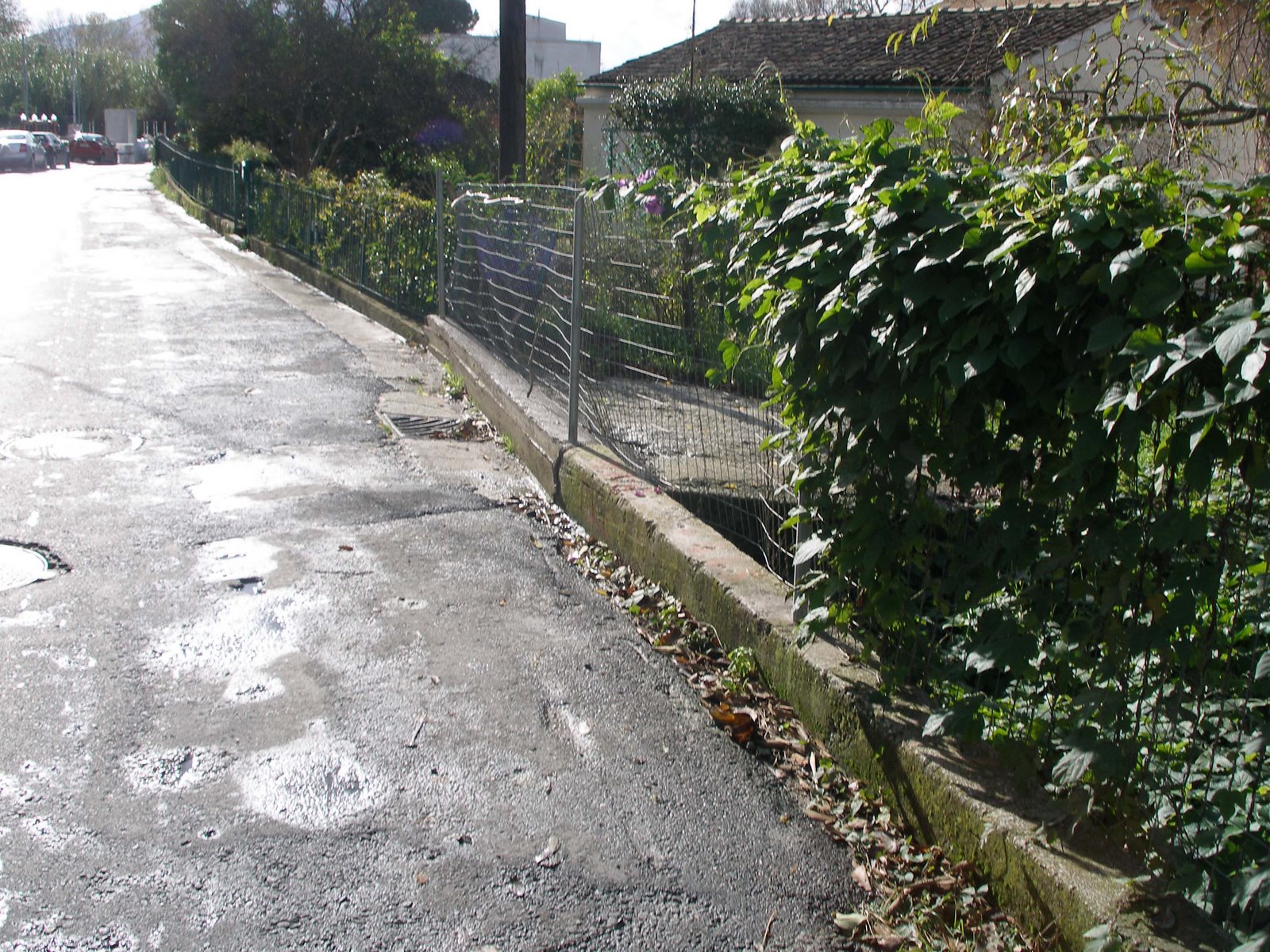 [PC073850a.jpg]