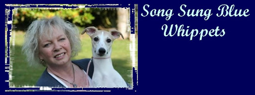 Song Sung Blue Whippets
