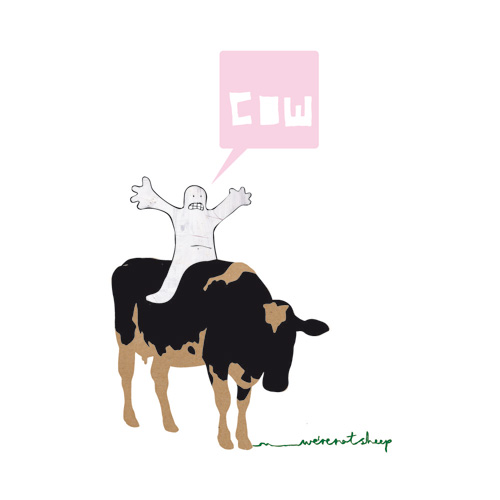 [cow.jpg]