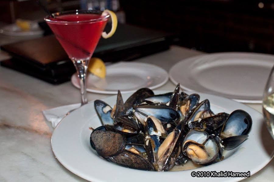 Scallywag Journeys Tampa Bay and Beyond Central Avenue Oyster Bar