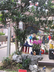 Banzai Tree