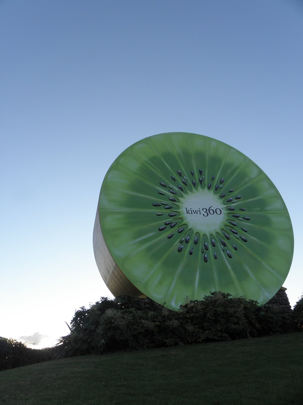 Its my place New Zealand Te Puke Biggest kiwi in the world!