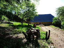Jardinez