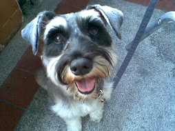 My sincere begging look