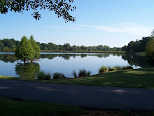 Lakeside View