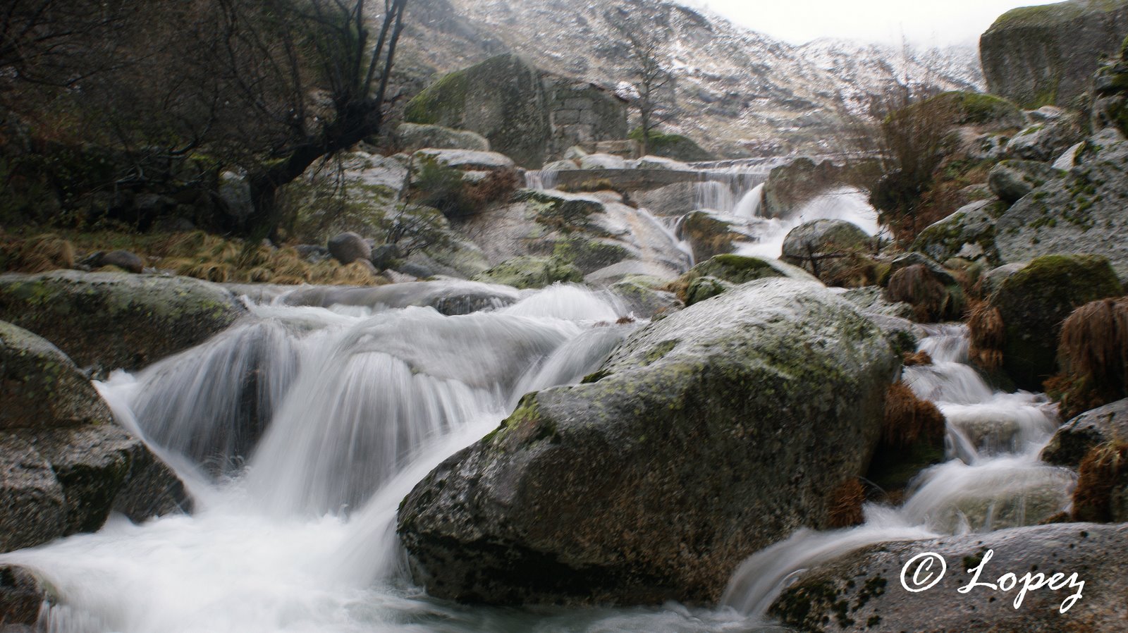 [DSC04962aaabbbbbbba.jpg]