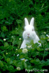 My dear = ^ ^ =