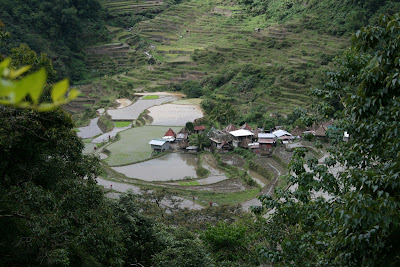 Banaue Rice Terraces, Philippines