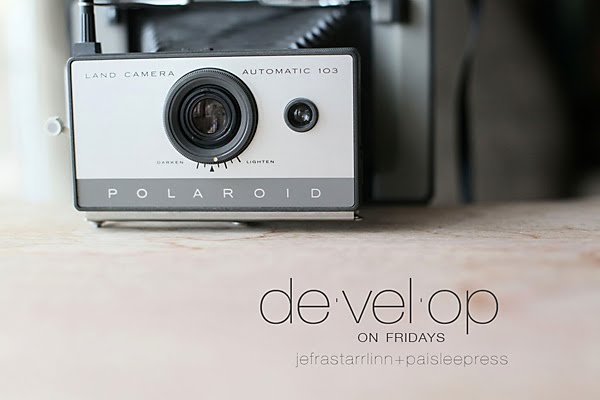 [develop-about2.jpg]