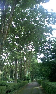[090805_080238.JPG]