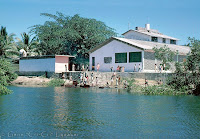 Children wash desks in La Boquita Lagoon at the Ecuela Vicente Guerrero - photo by Gene -Cri Cri- Lysaker (click to enlarge)