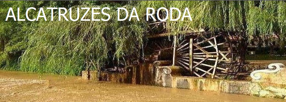 Alcatruzes da Roda