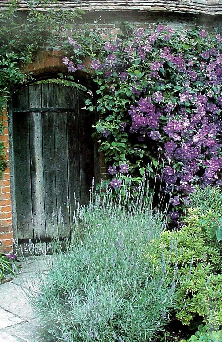 [Garden+door+with+Clematic-5x7.jpg]