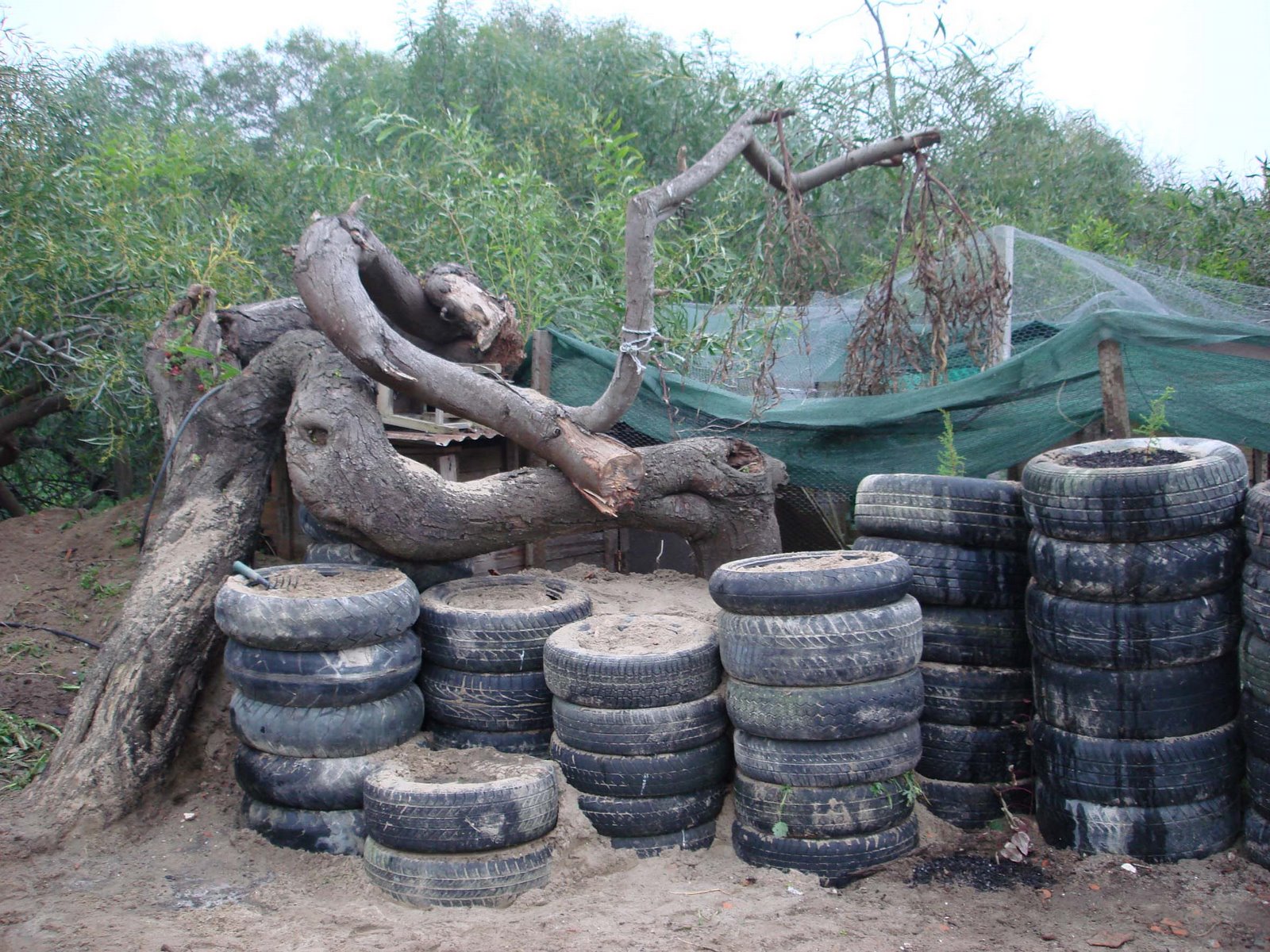 [Library+-+2085.jpg]