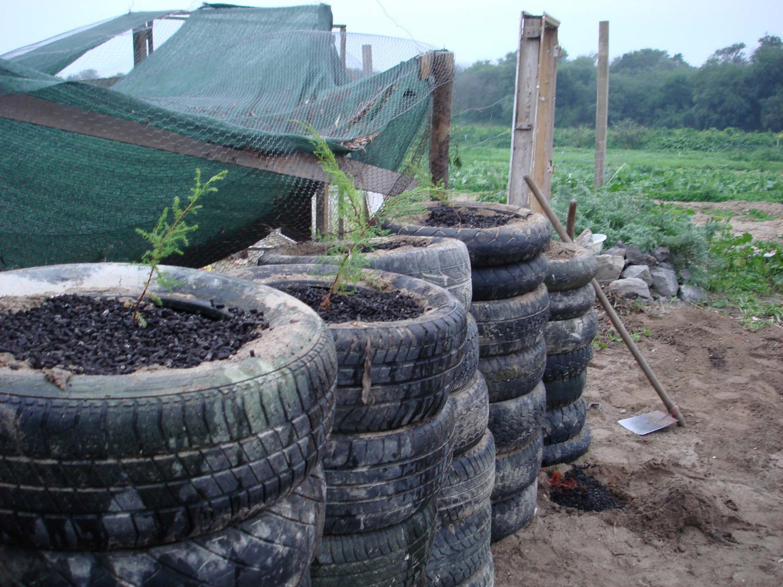 [Library+-+2088.jpg]