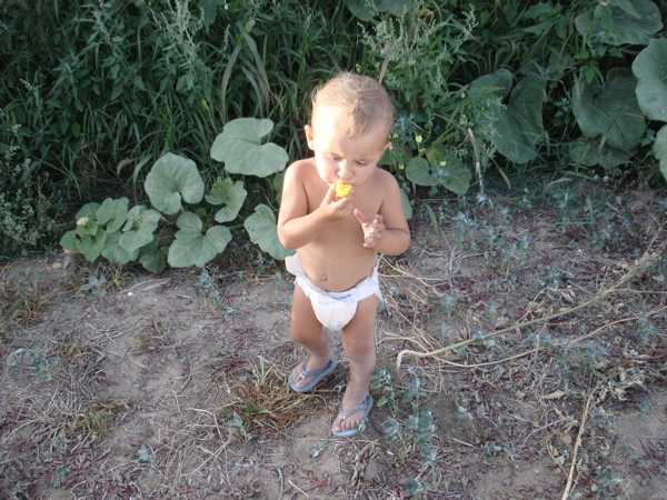 [Library+-+2811.jpg]