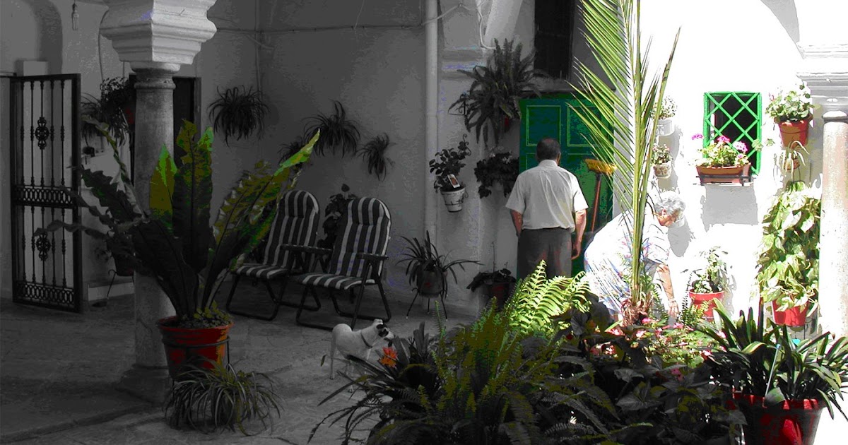 Club de los Poetas Vivos: SUEÑOS DE UN PATIO ANDALUZ