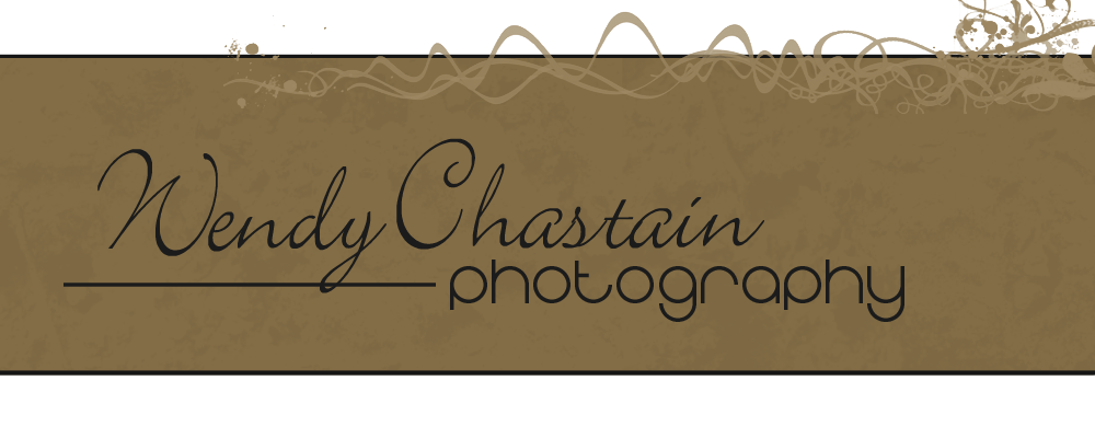 Wendy Chastain Photography