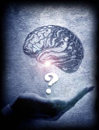 marine net orm refresher