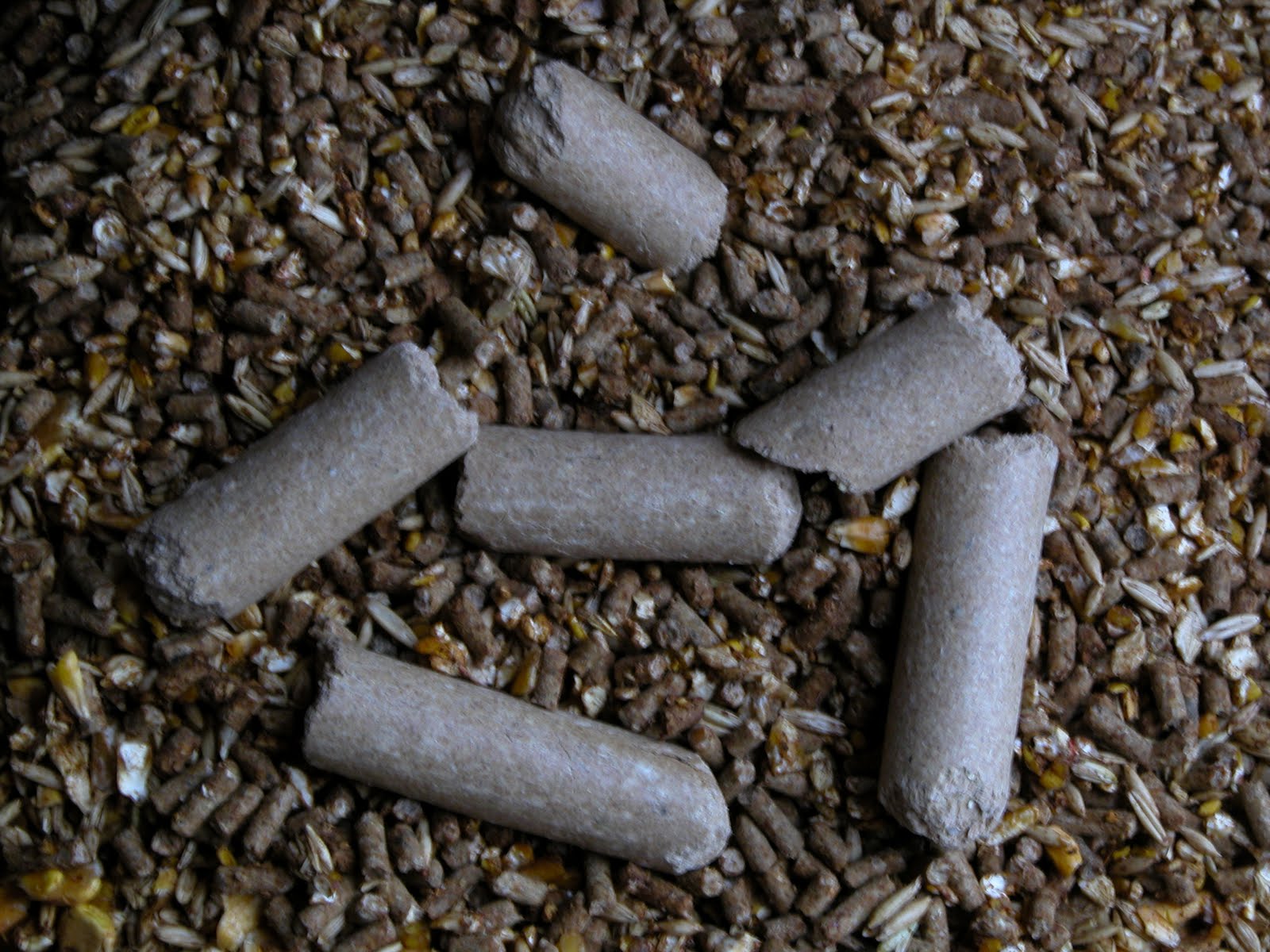 Easy Living the Hard Way Livestock Cake For Thanksgiving