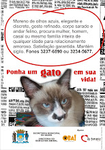 Adote um Gato