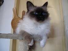 Sweet, sweeter, Sweetheart!