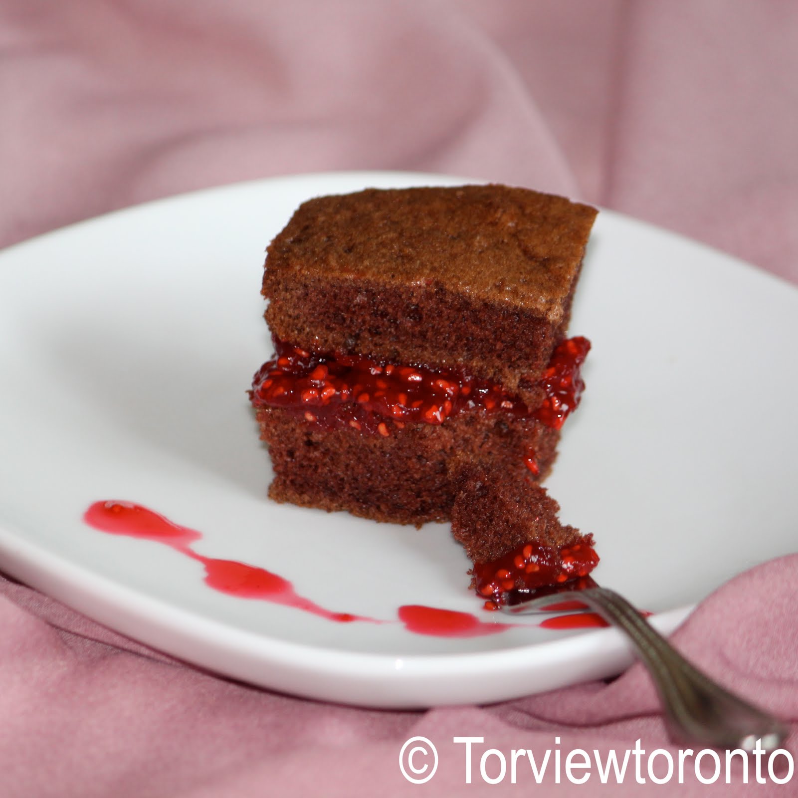 Torviewtoronto Chocolate cake with raspberry jam