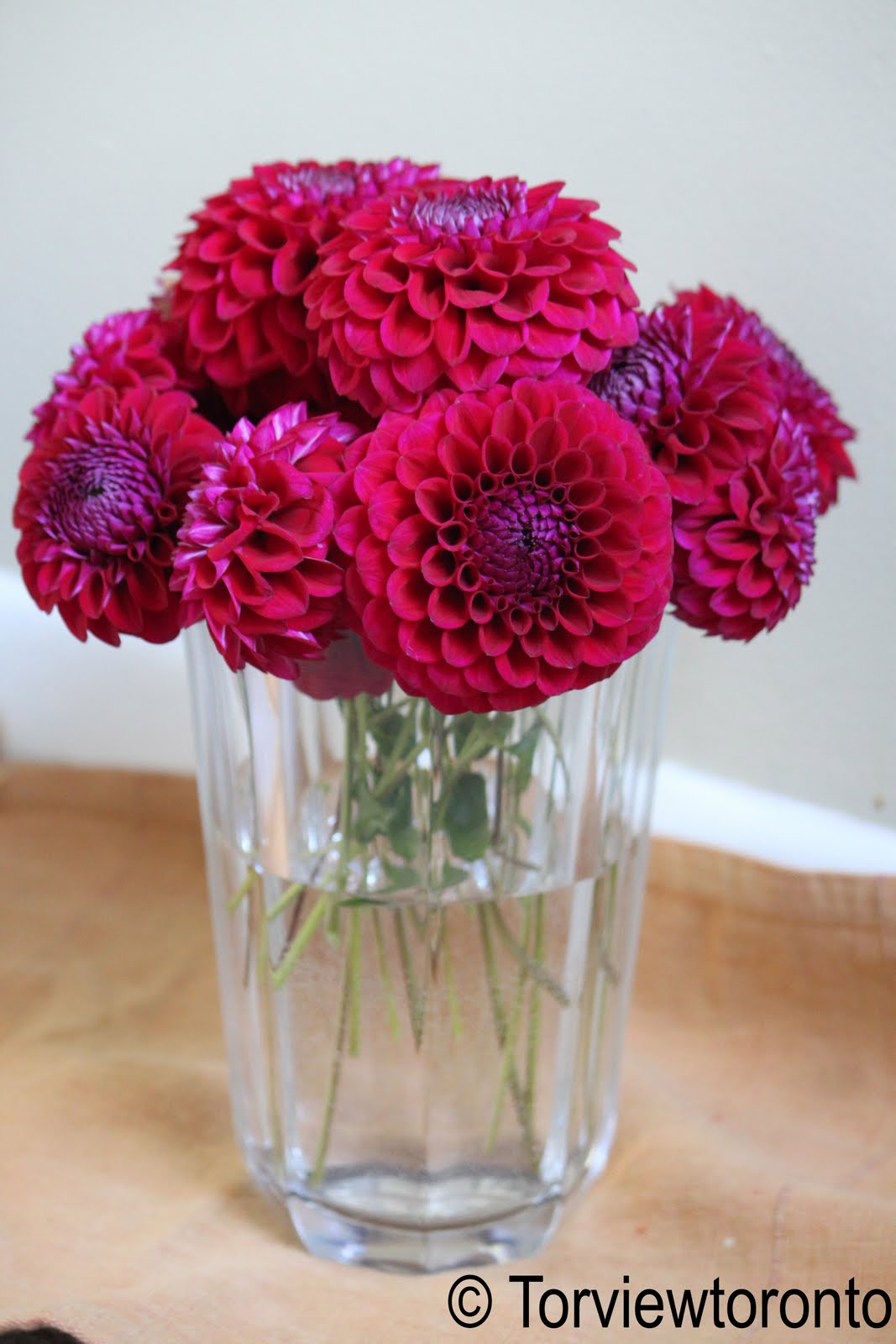 Create With Mom Dahlia flowers to decorate