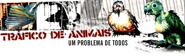 [trafico_animais.gif]
