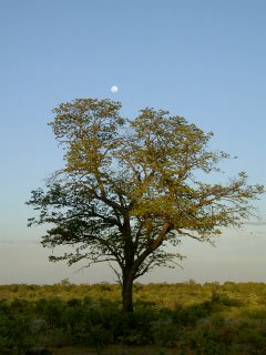 [PICT0301.jpg]