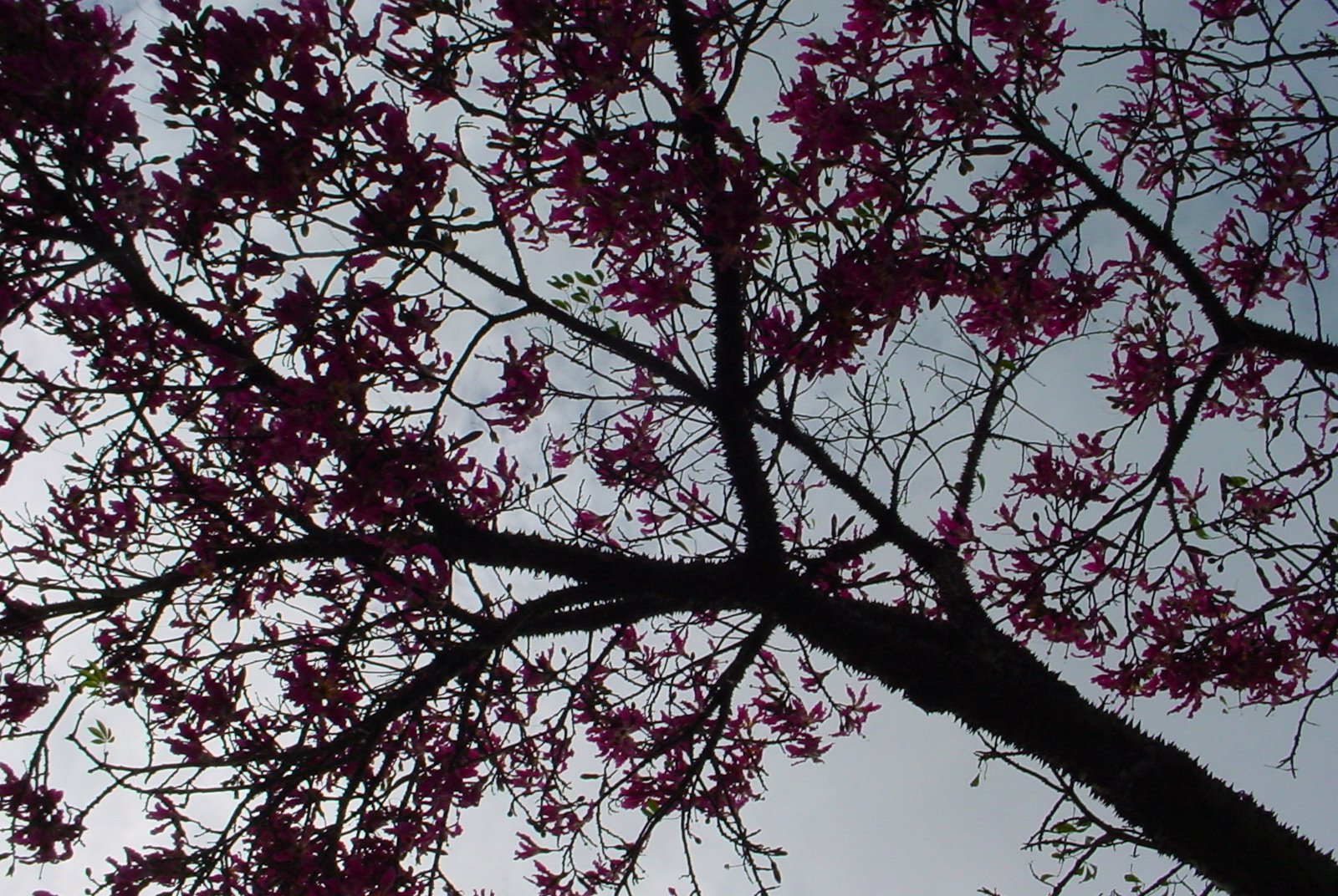[DSC07186.JPG]