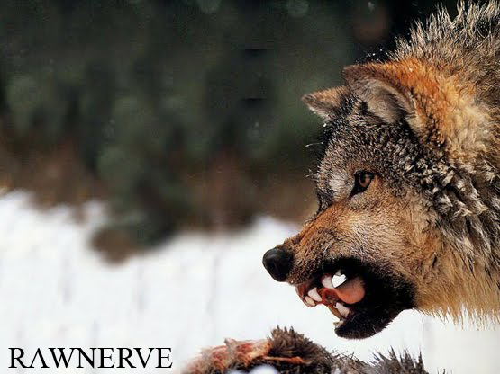 Rawnerve