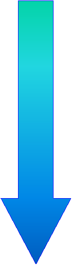 [Image.gif]