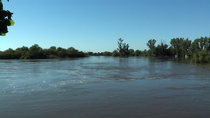 CRECIENTE RIO GUALEGUAY - ENERO 2010