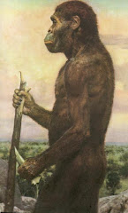 Austrolopithecus Africanus