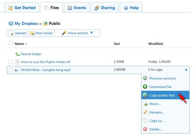 BooMP3-Dropbox+Copy+Public+Link.jpg