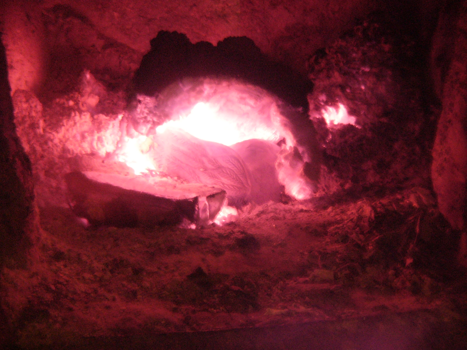 [Alvó+tűzmadár+017.jpg]