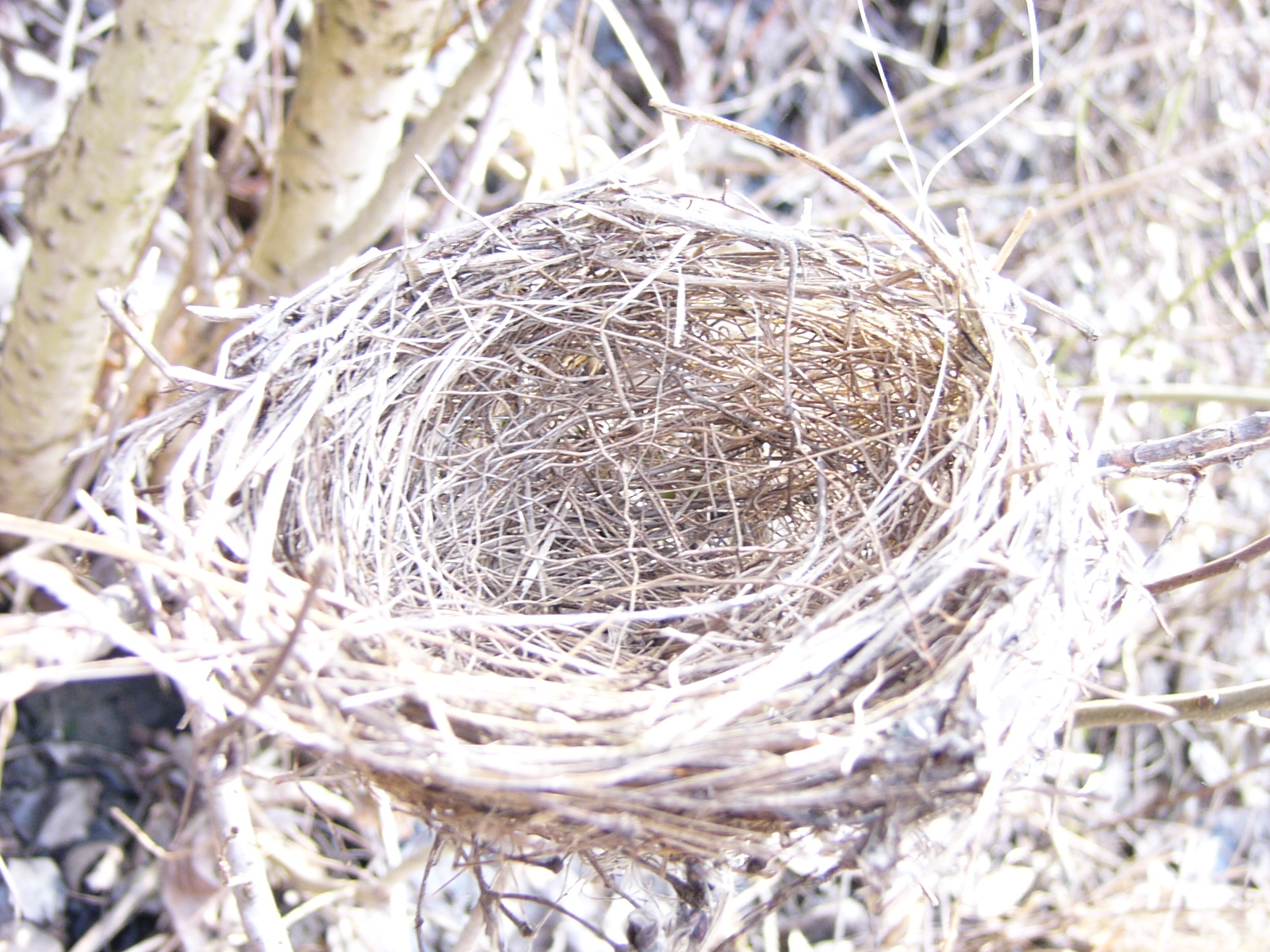 [fotók+2007március+093.jpg]