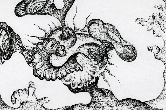 Flying Finch Drawing