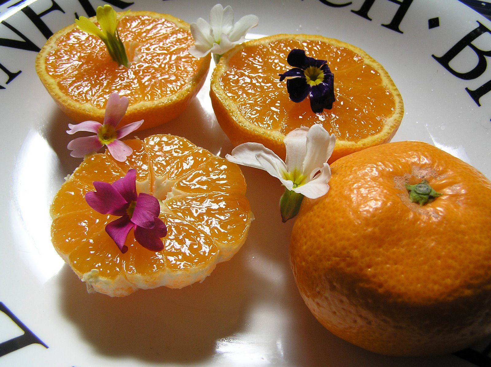 [breakfast-oranges.jpg]