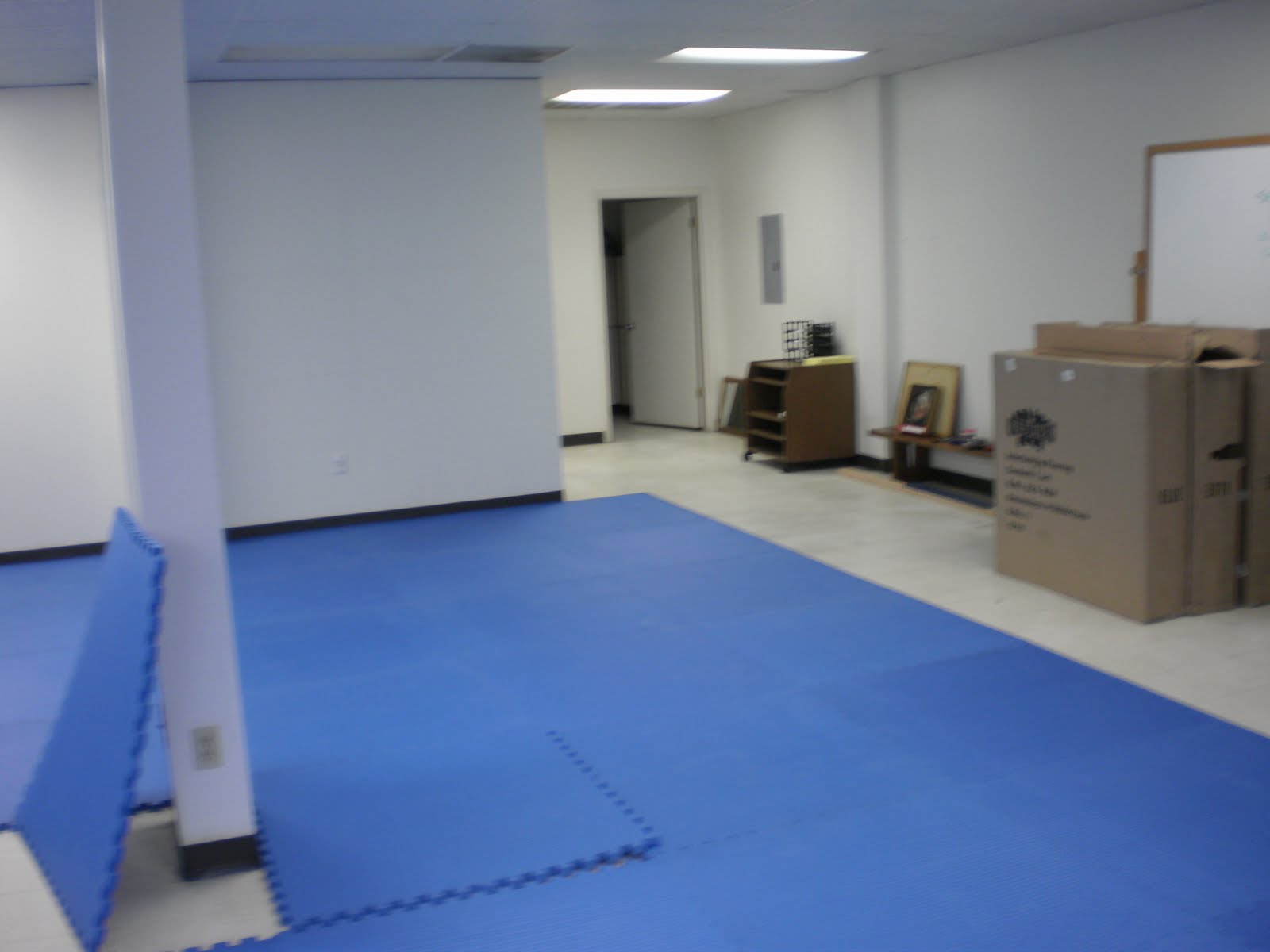 The Dragon's Orb Austin's new Aikido Judo dojo!