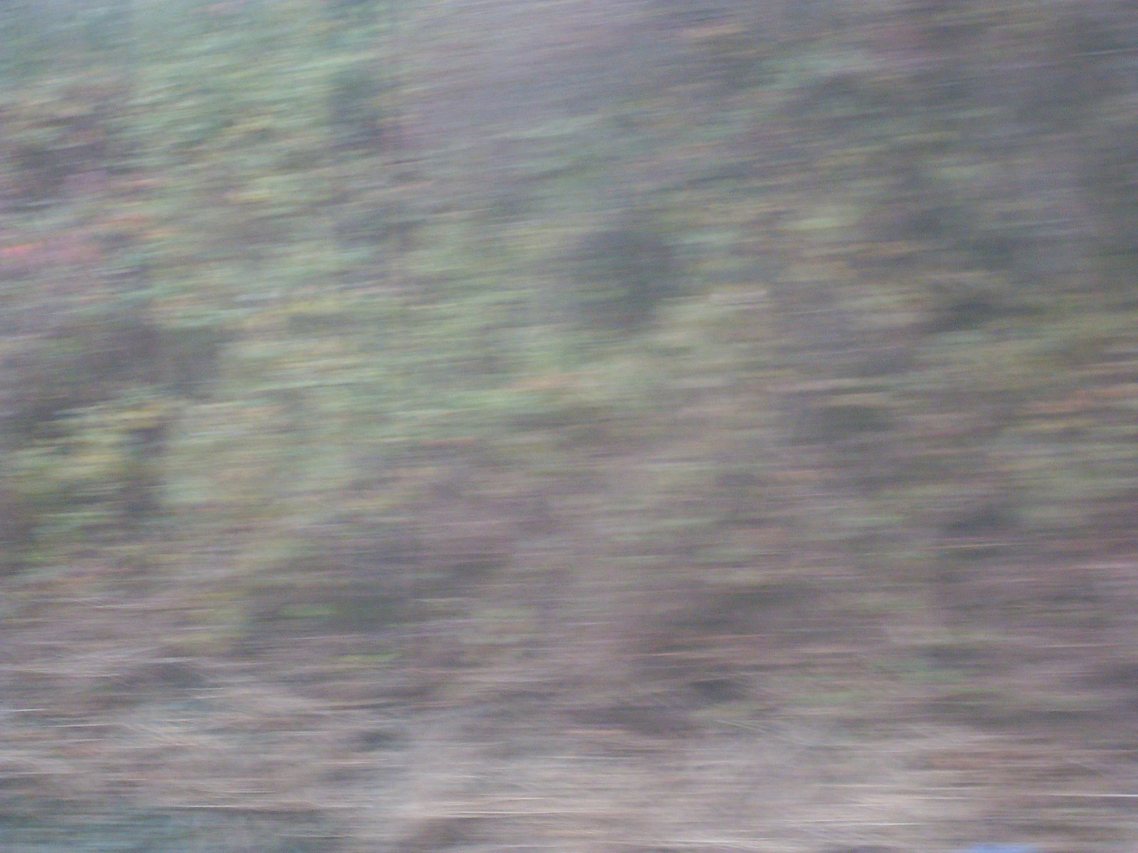 [SDC10331.JPG]
