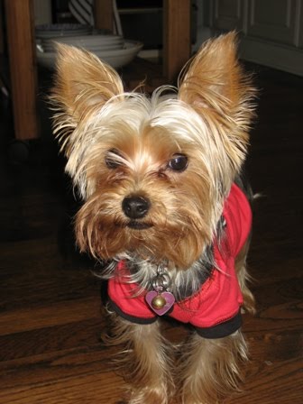 [Ellie+UGA+Fan!.jpg]