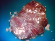 [mail.google.com_paula_file+cru.jpg]