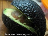 [AvocadoLassi2+001edited.JPG]