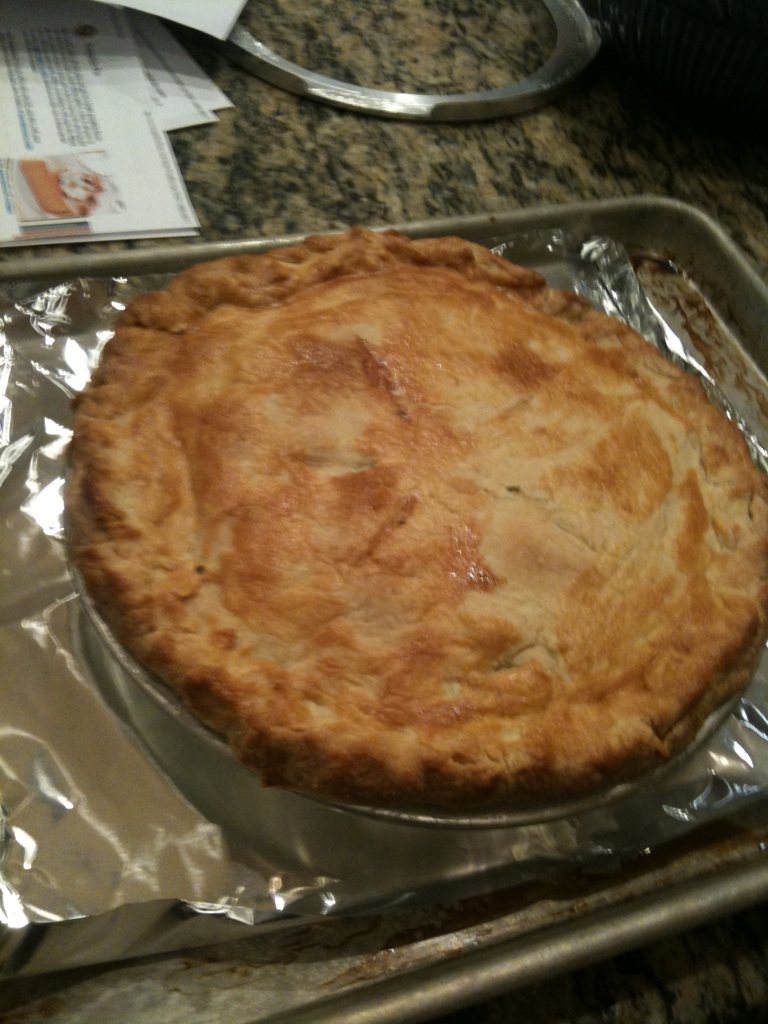 Doughcrafter Baking on Nights and Weekends One Pie Crust to Rule Them All