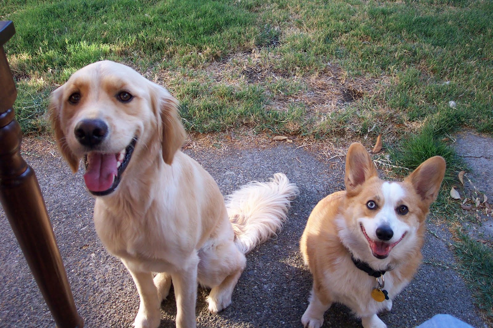 [blueandbrady.JPG]