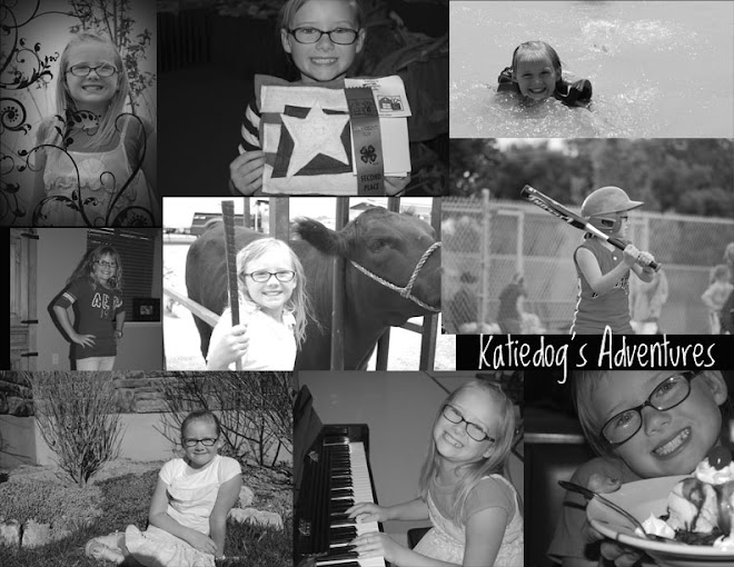 Katiedog's Adventures