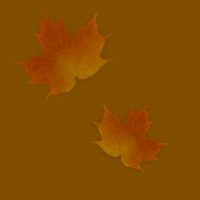 ¡Ya da comienzo el mágico Otoño!